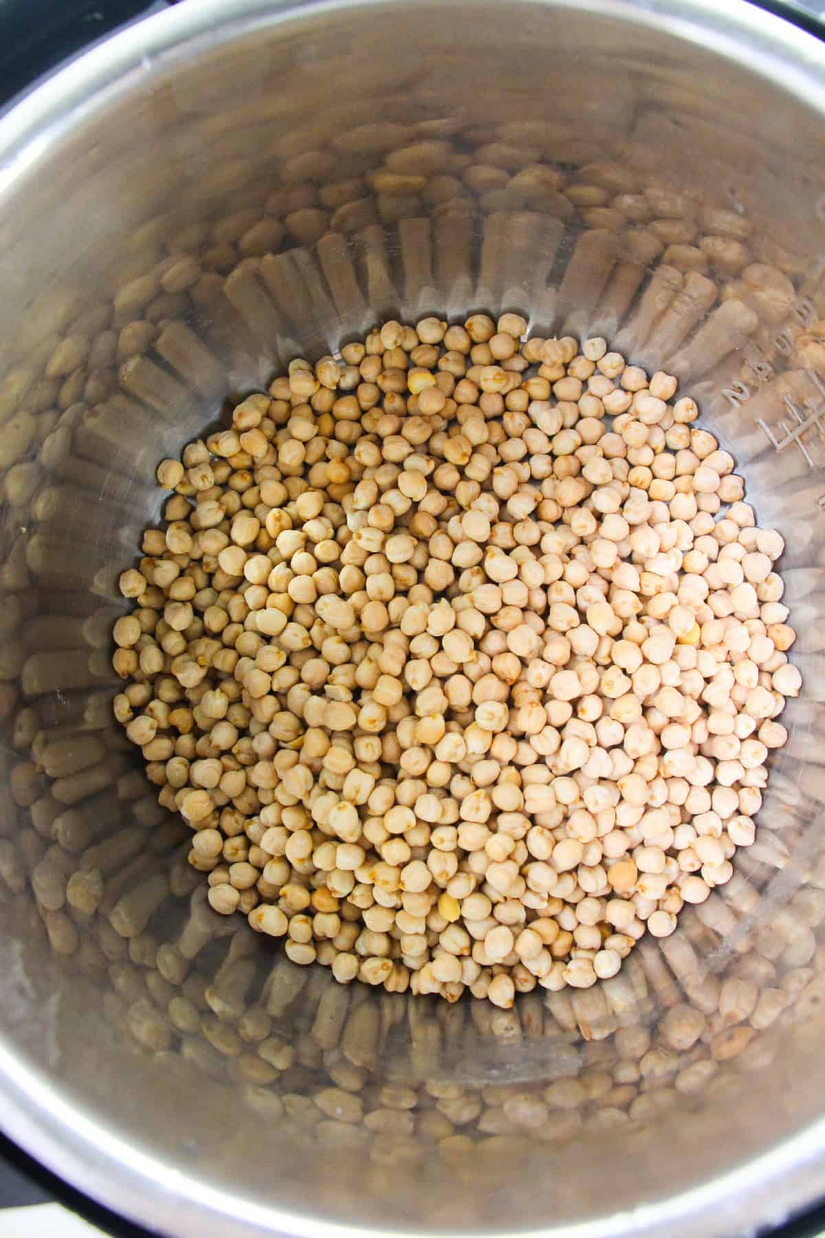 Dried chickpeas sitting at the bottom of the Instant Pot before cooking.