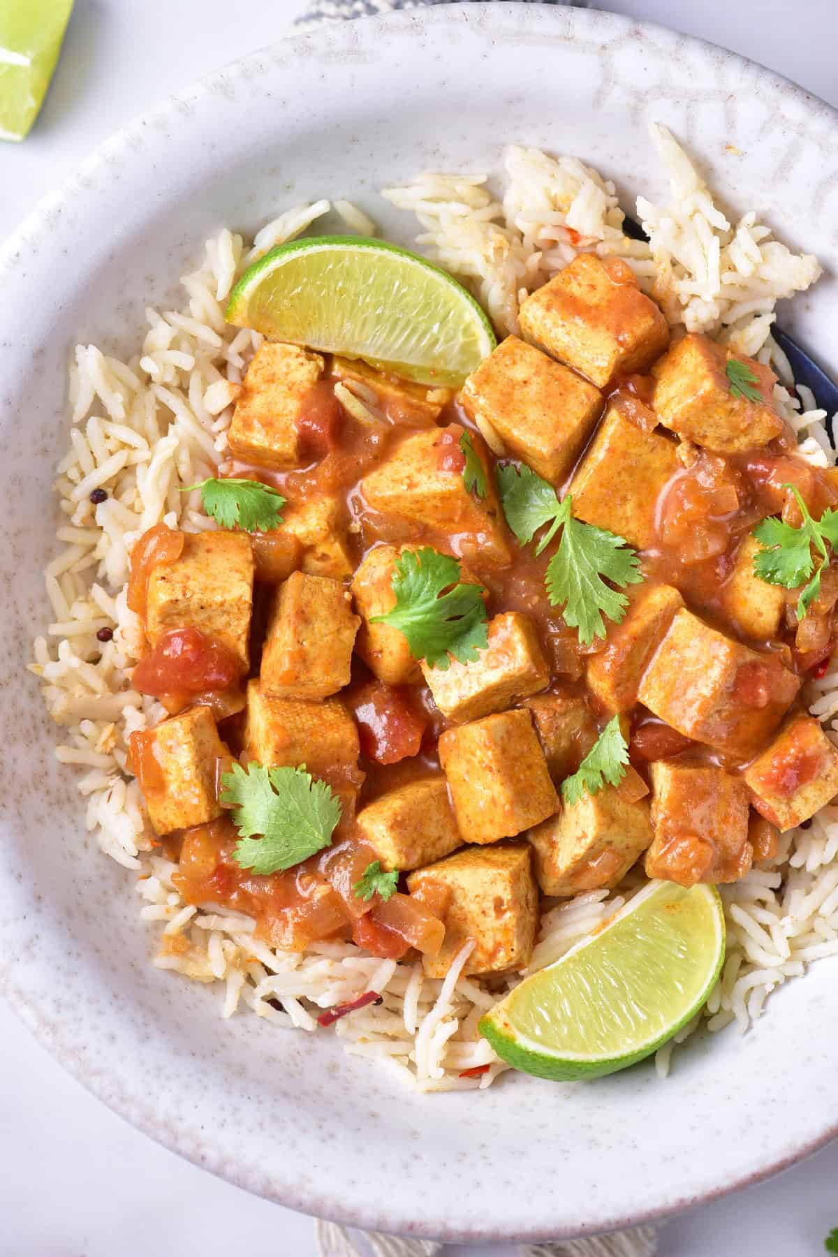 High-angle view of plant-based tofu curry in a speckled bowl, showing tender tofu cubes in coconut tomato sauce.