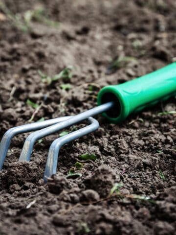 A small green-handled hand cultivator sits on freshly tilled soil.