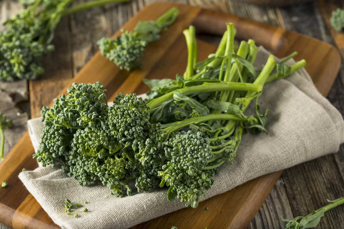 Fresh broccoletti on a wooden board, a leafy green vegetable similar to broccoli.
