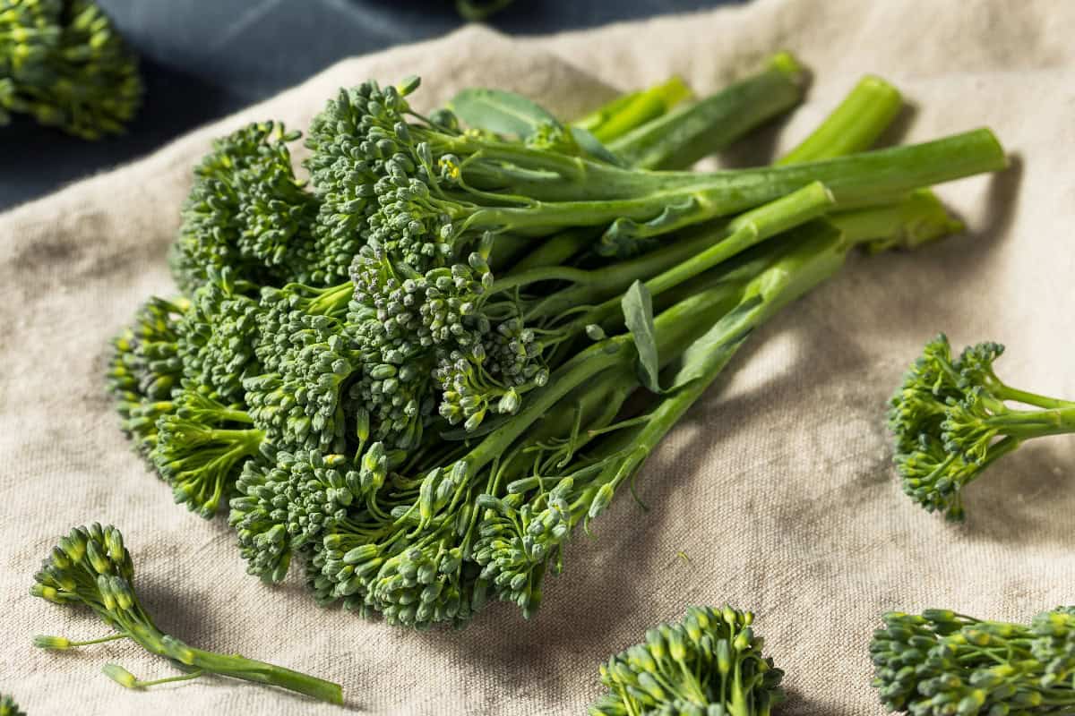 Fresh broccolini with long stems and small florets on a linen cloth.