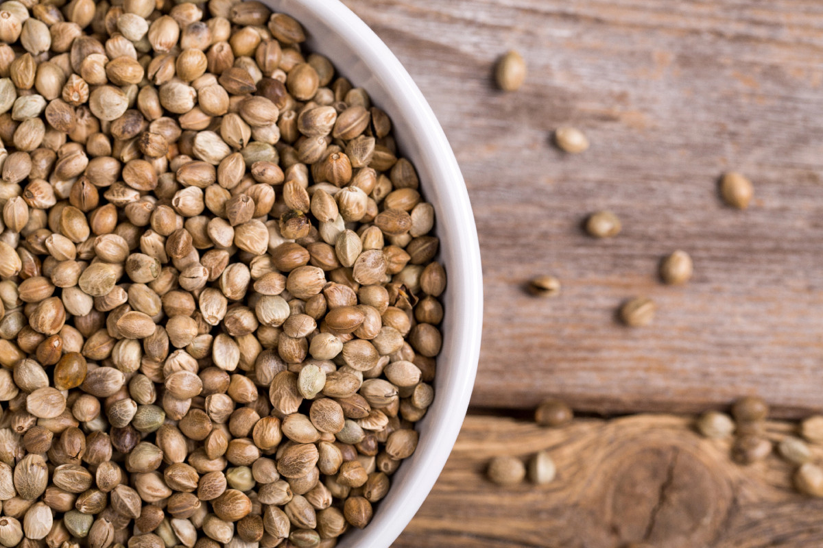 Hemp seeds in a white bowl on a wooden surface, a nutritious vegan source of healthy fats.