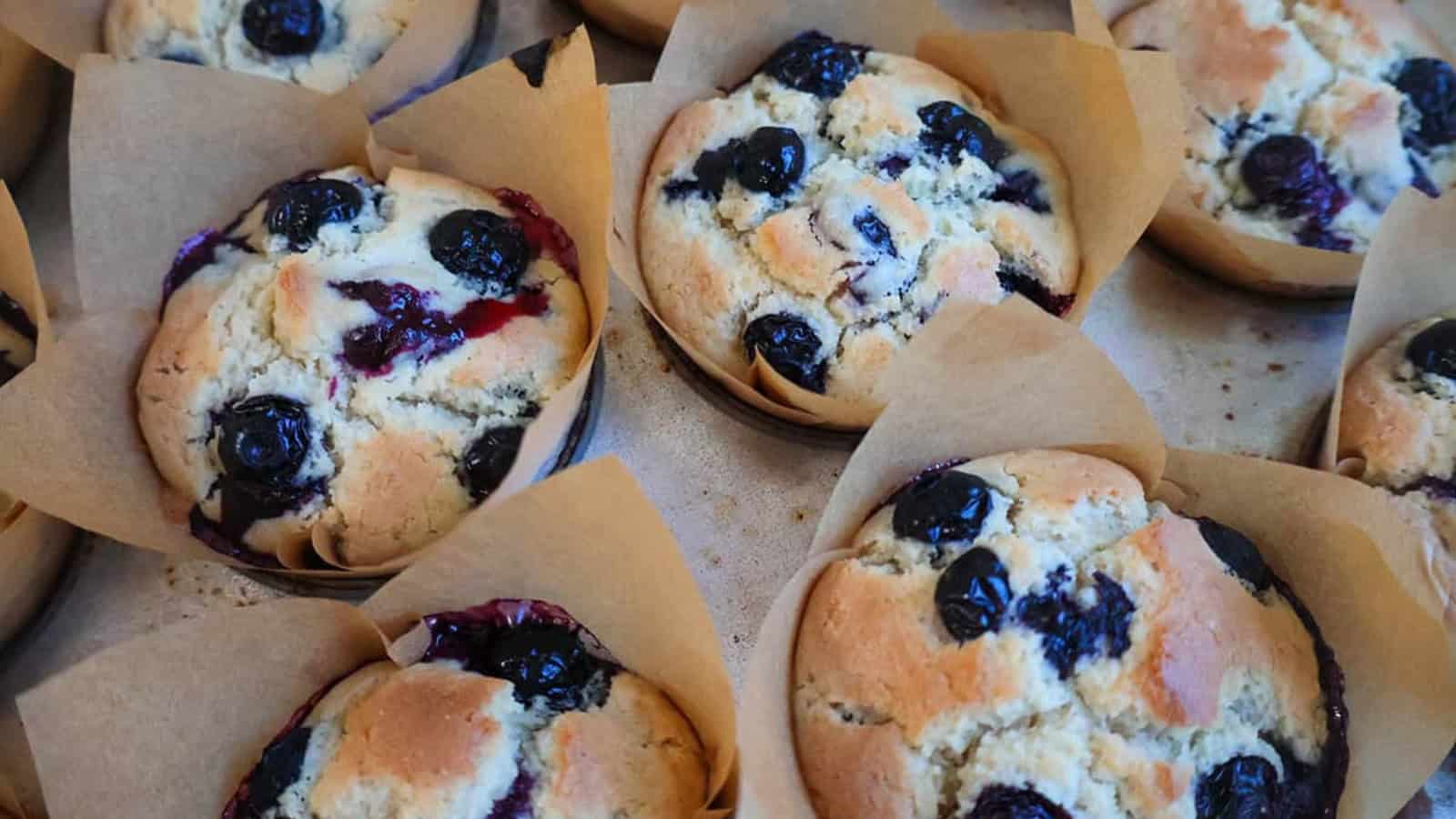 Gluten-free muffins baked with blueberries and lemon flavor.