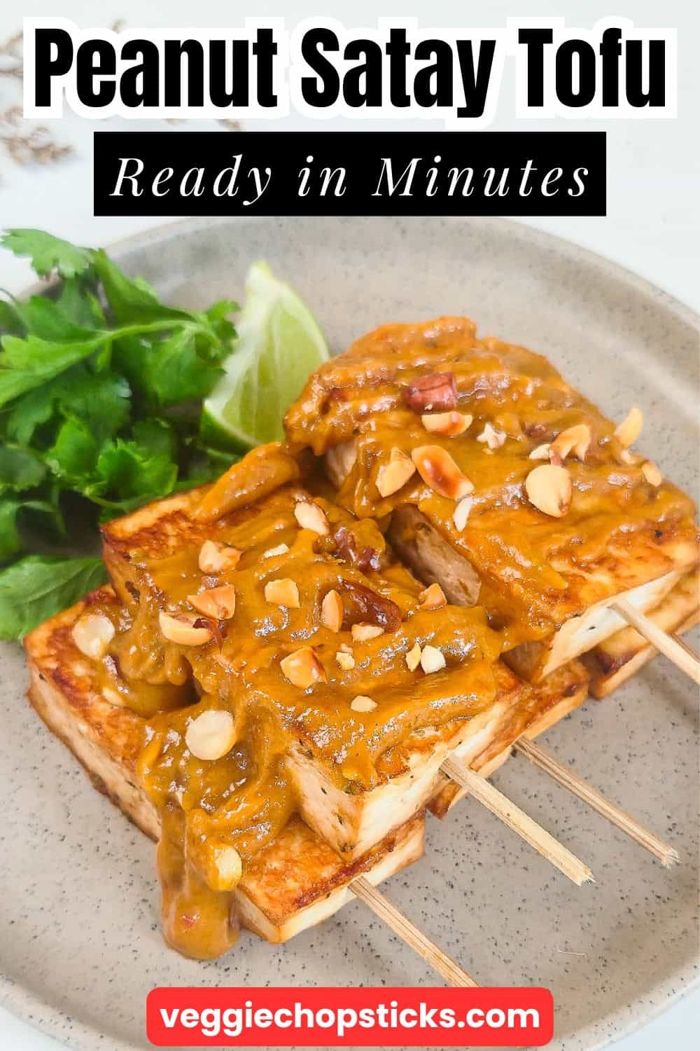 Peanut satay tofu skewers drizzled with creamy peanut sauce and topped with chopped peanuts.