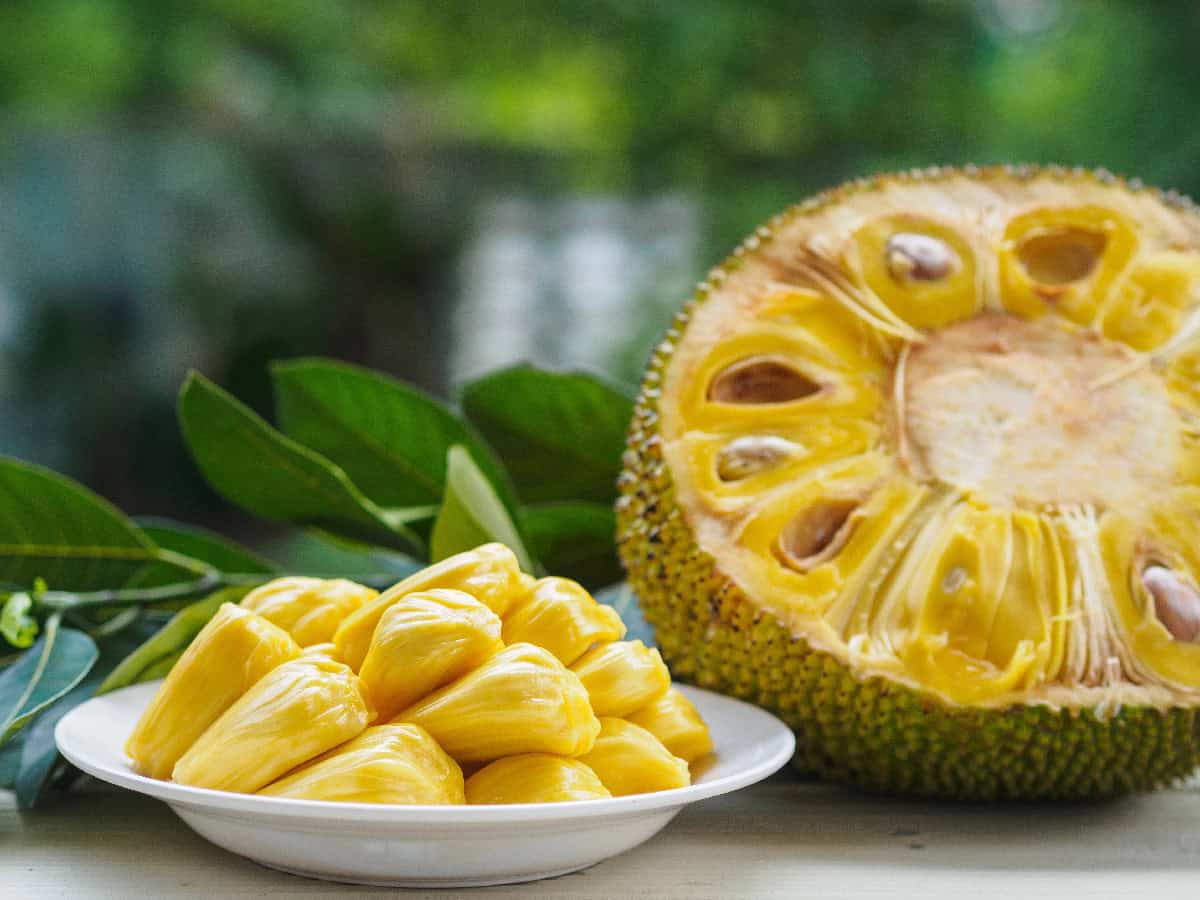 Fresh jackfruit pods on a plate beside a cut-open jackfruit showing seeds and flesh.