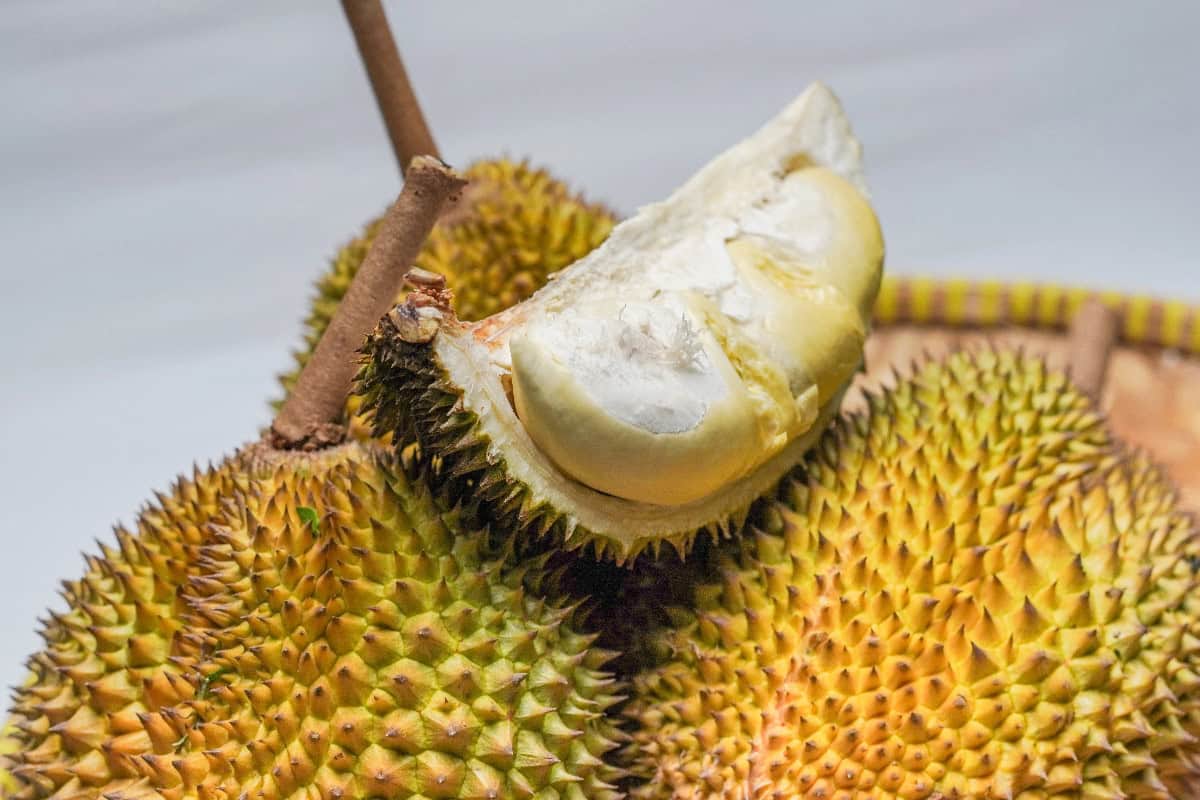 Whole durians with a cut section displaying pale creamy flesh and the spiky outer shell.