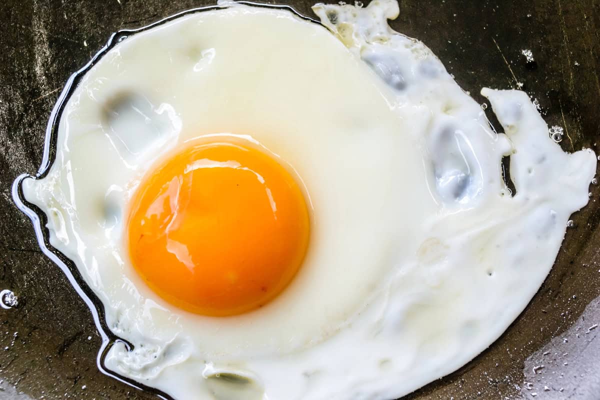 Close-up of soft-boiled eggs with creamy orange yolks on a white ceramic plate.
