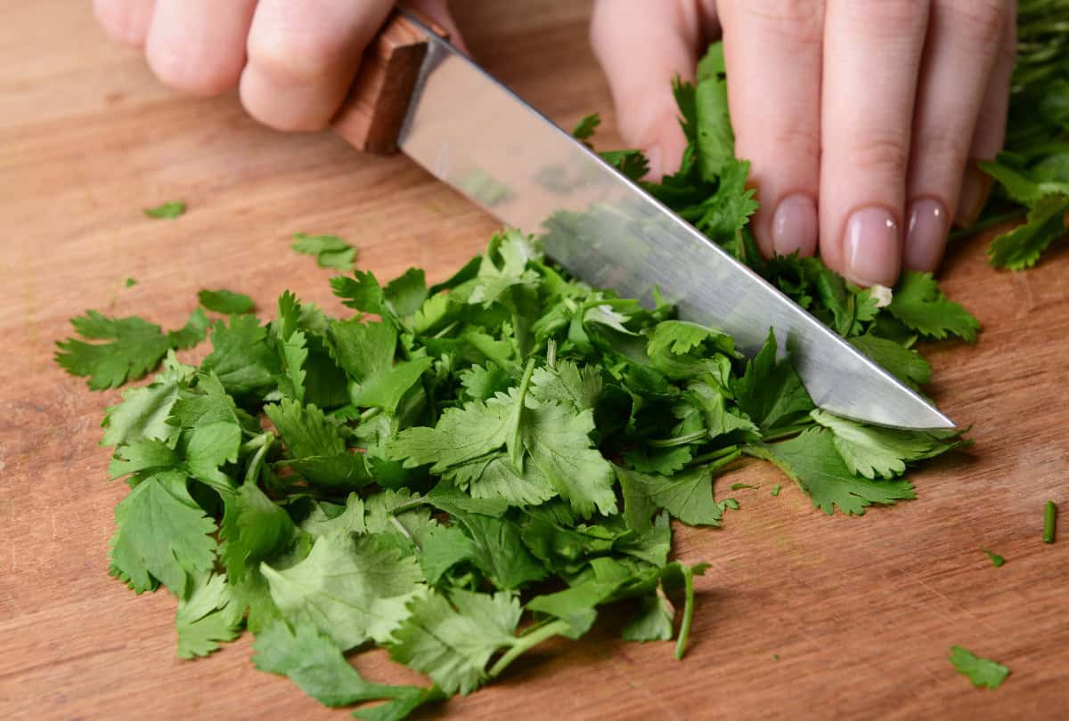 Fresh cilantro leaves being chopped with a knife on a wooden cutting board.