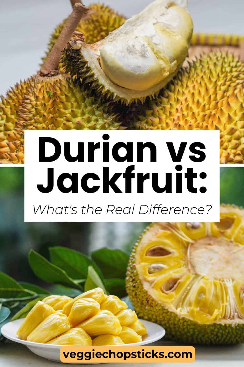 Fresh durian and jackfruit displayed side by side, highlighting the differences between these tropical fruits.