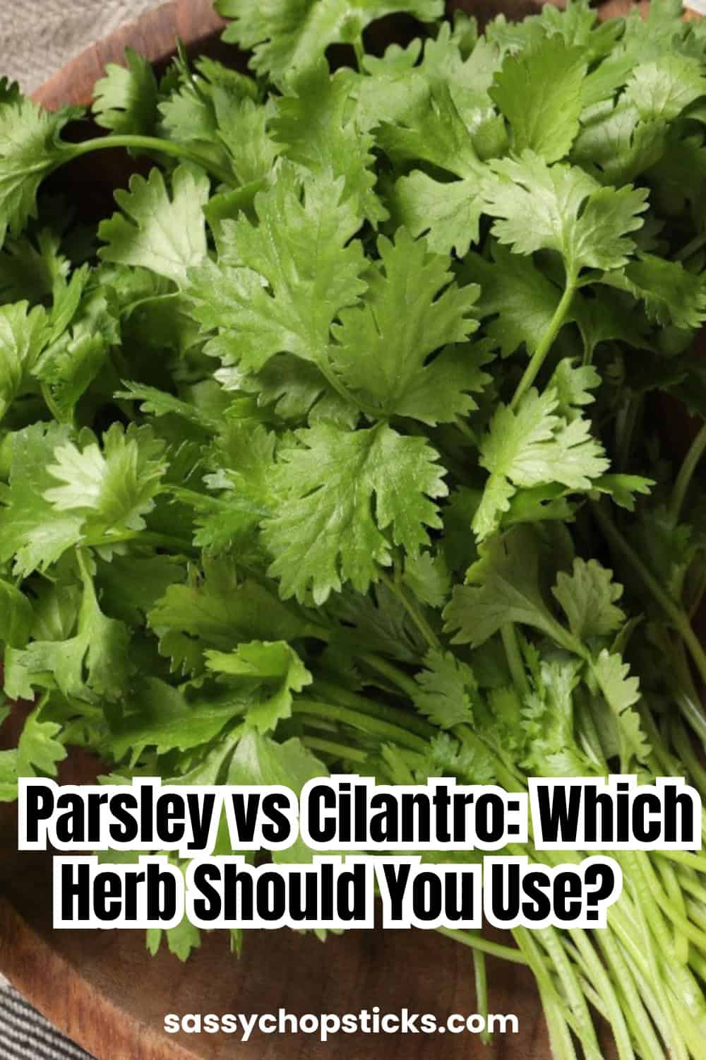 Fresh cilantro leaves spread across a wooden surface, used to illustrate the comparison between parsley and cilantro.