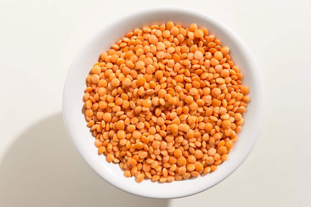 Dry red lentils in a white bowl, ready to cook in the microwave.