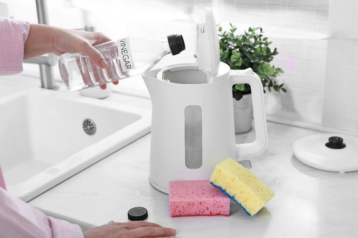 Pouring white vinegar into an electric kettle to remove limescale and mineral buildup.