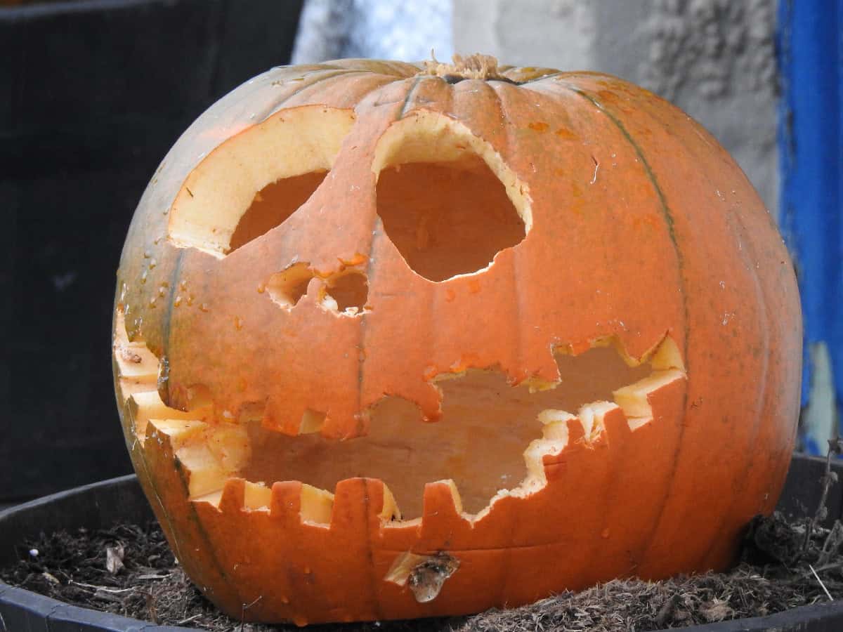 Carved jack-o'-lantern showing signs of rot and decay after being left outdoors.