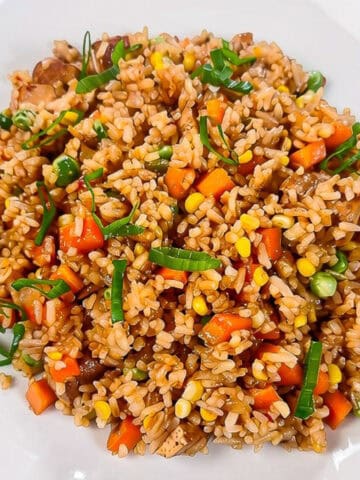 Vegan nasi goreng served in a white bowl with mixed vegetables, tofu, and green onions.