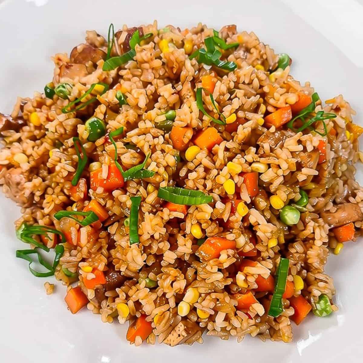 Vegan nasi goreng served in a white bowl with mixed vegetables, tofu, and green onions.