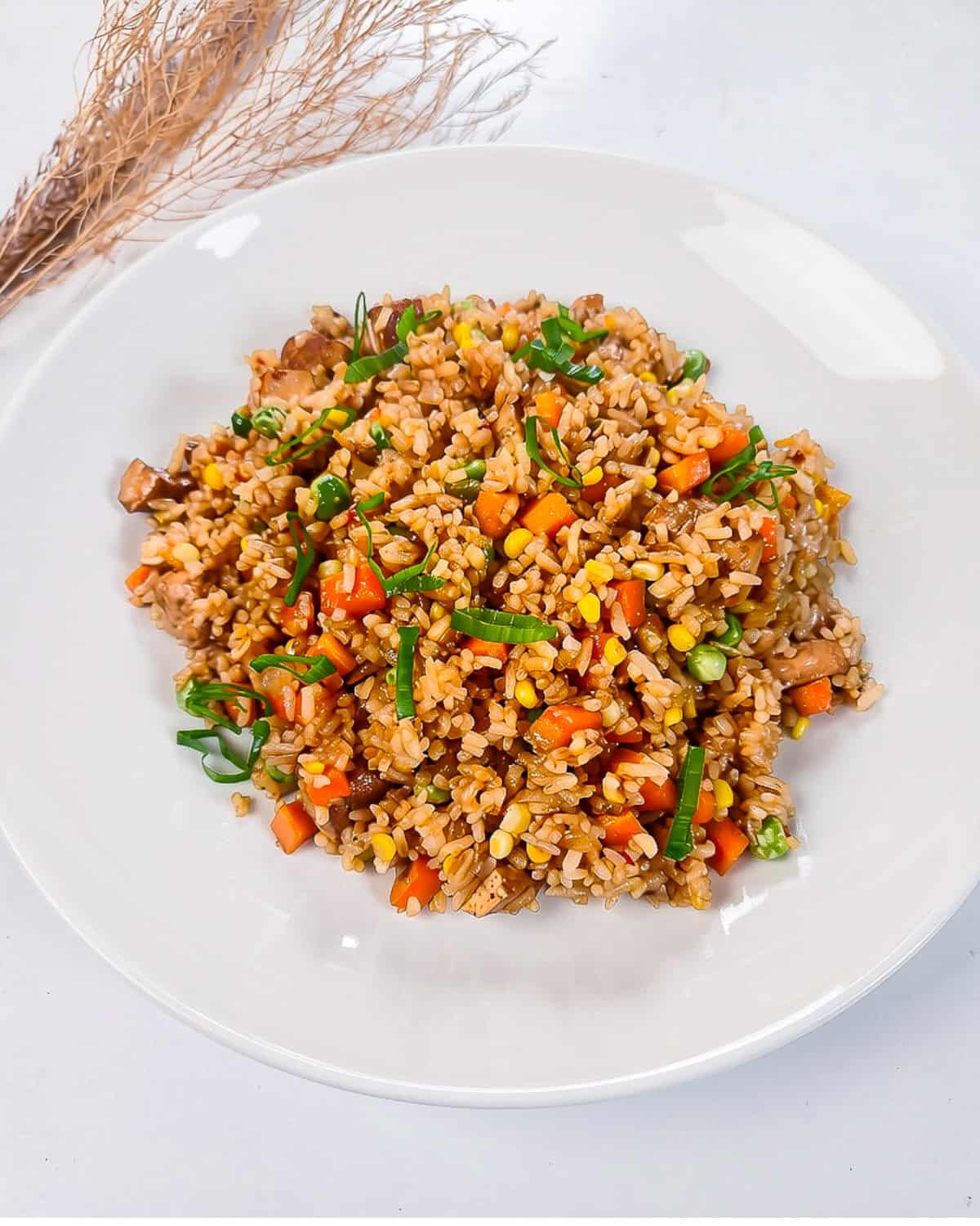 Vegan nasi goreng on a white plate, garnished with sliced green onions and packed with colorful vegetables and tofu.