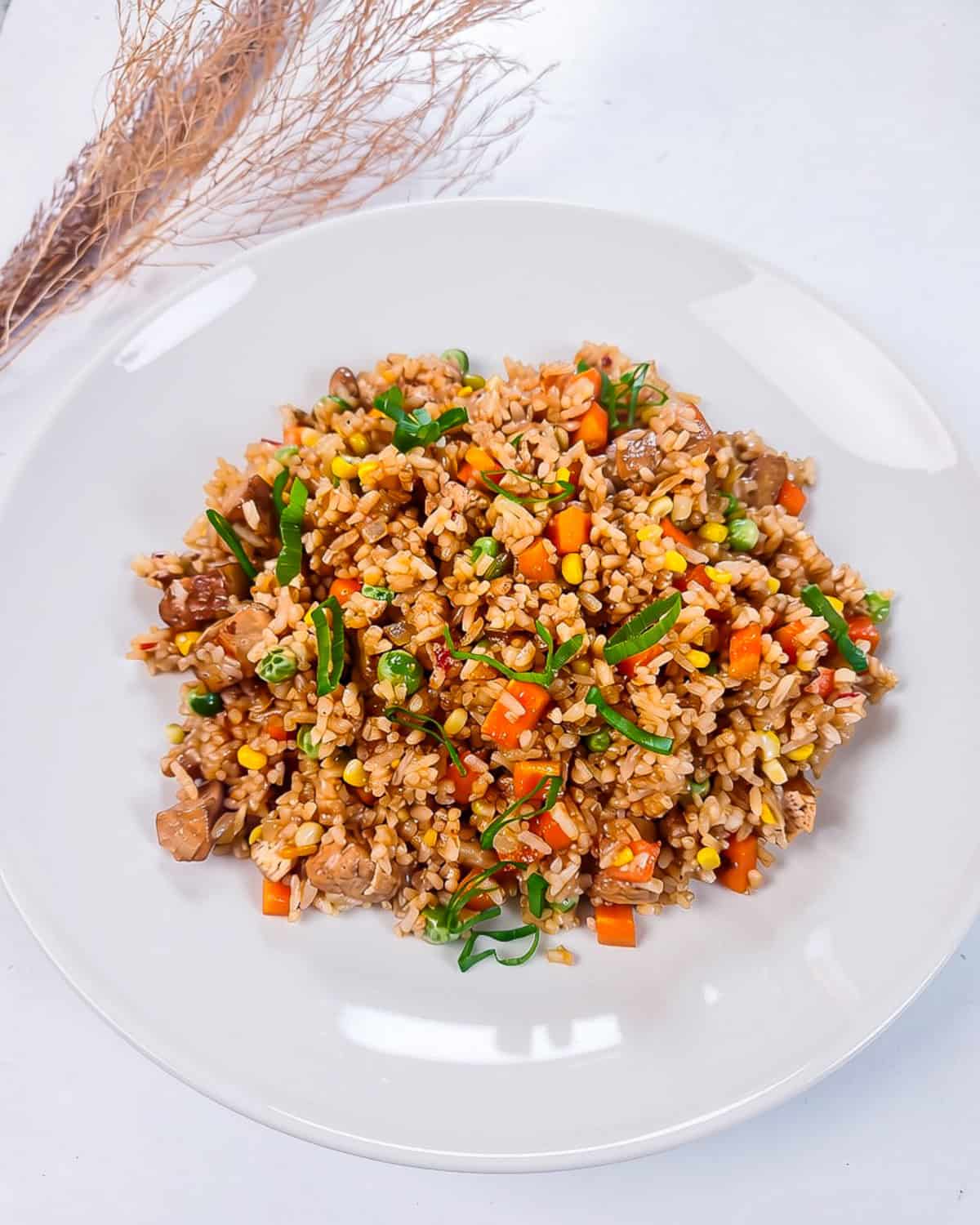 Homemade vegan nasi goreng with tofu, mixed vegetables, and green onions served on a white plate.