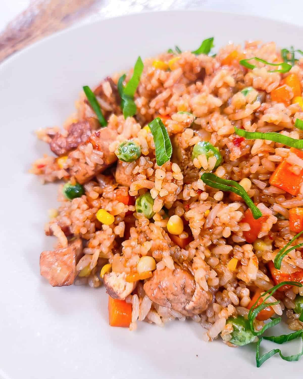 Close-up of vegan nasi goreng with tofu, carrots, peas, corn, mushrooms, and green onions on a white plate.