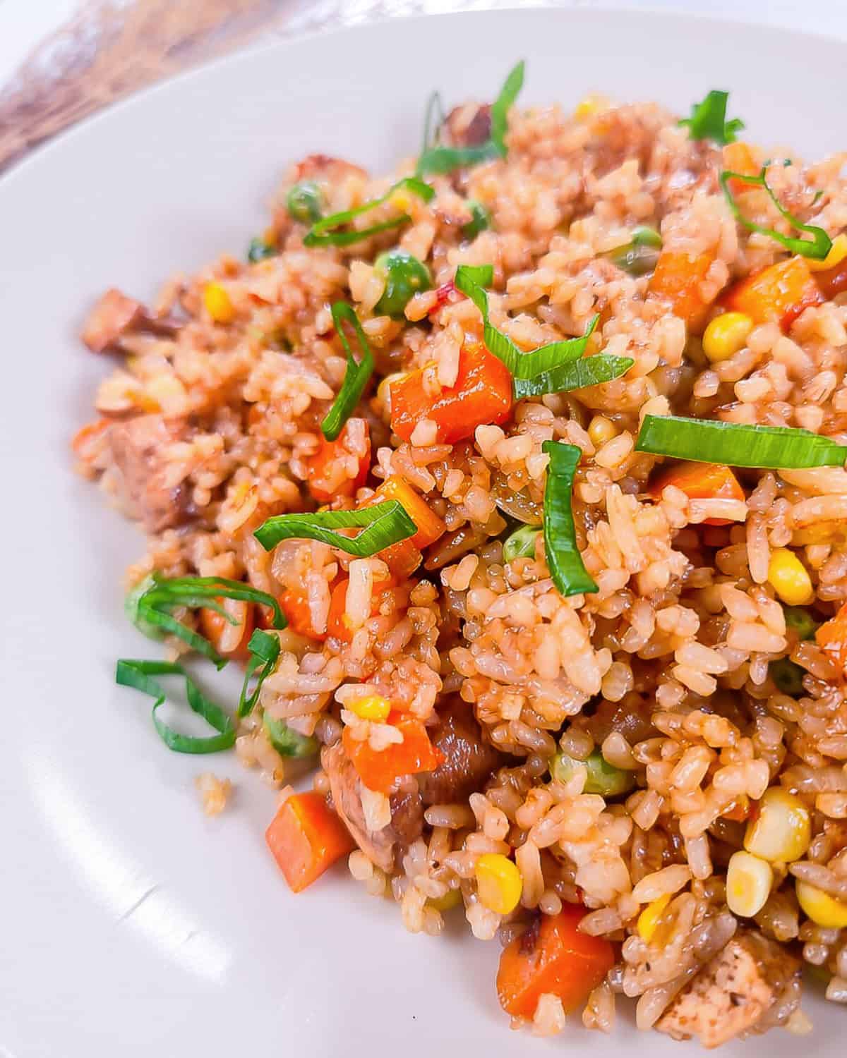 Close-up side view of vegan nasi goreng featuring fluffy rice, tofu, mixed vegetables, and fresh green onion garnish.