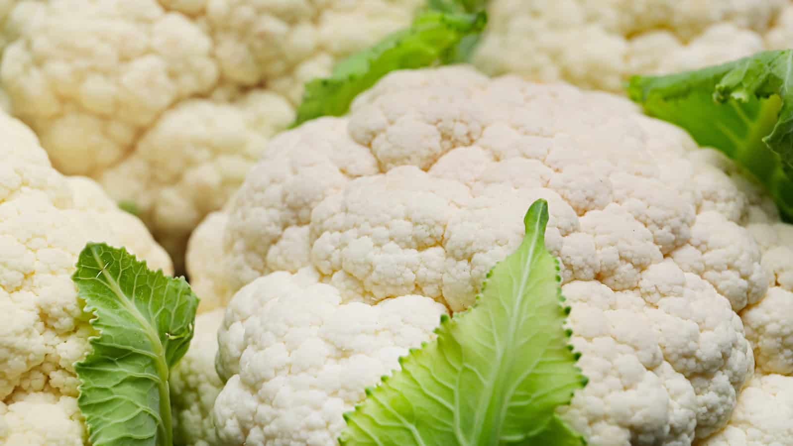 Fresh cauliflower heads with green leaves.